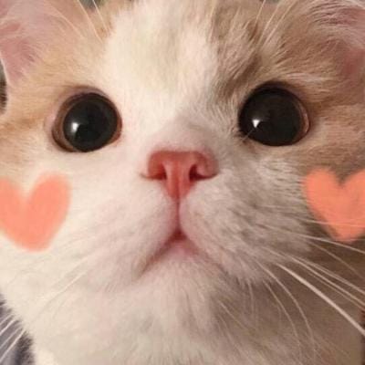Yusuf Kalla avatar